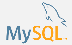 General Log de MySql - como habilitar el registro de logs